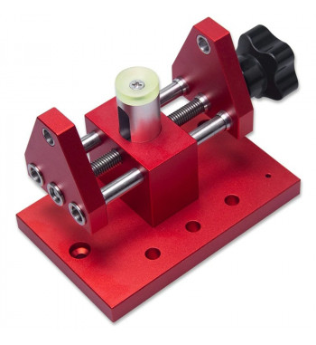 Professional watch case tool